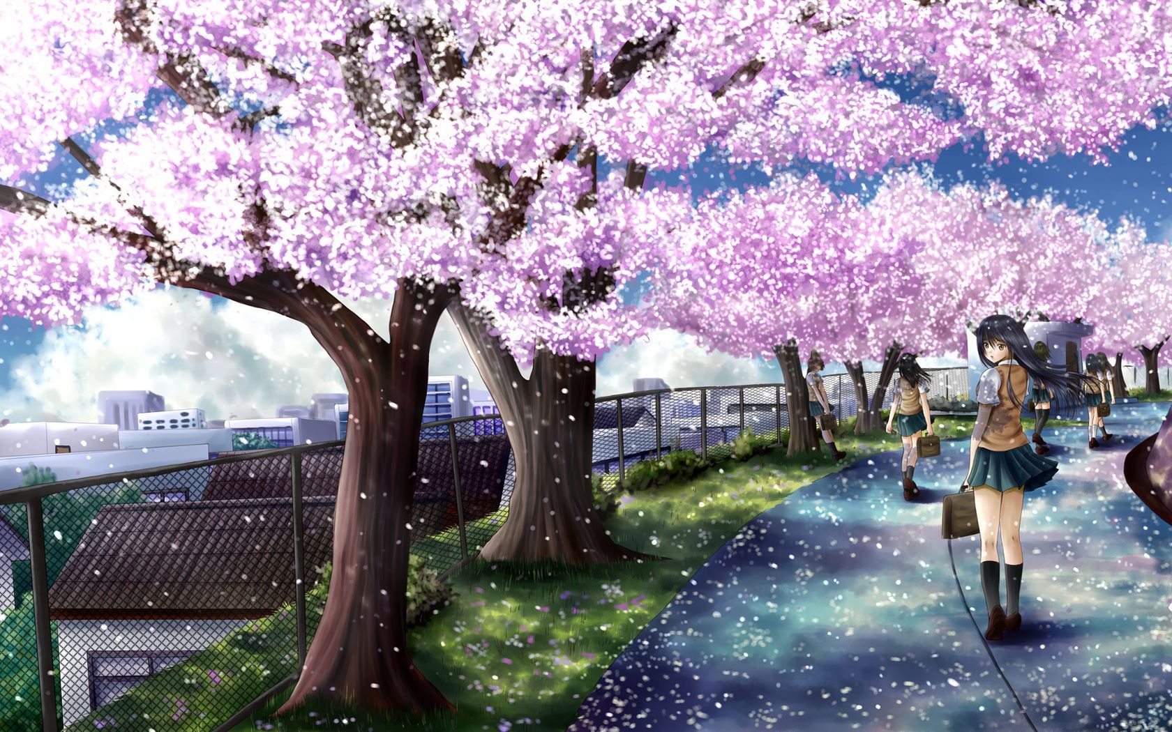 Anime Sakura Trees Hd Wallpapers