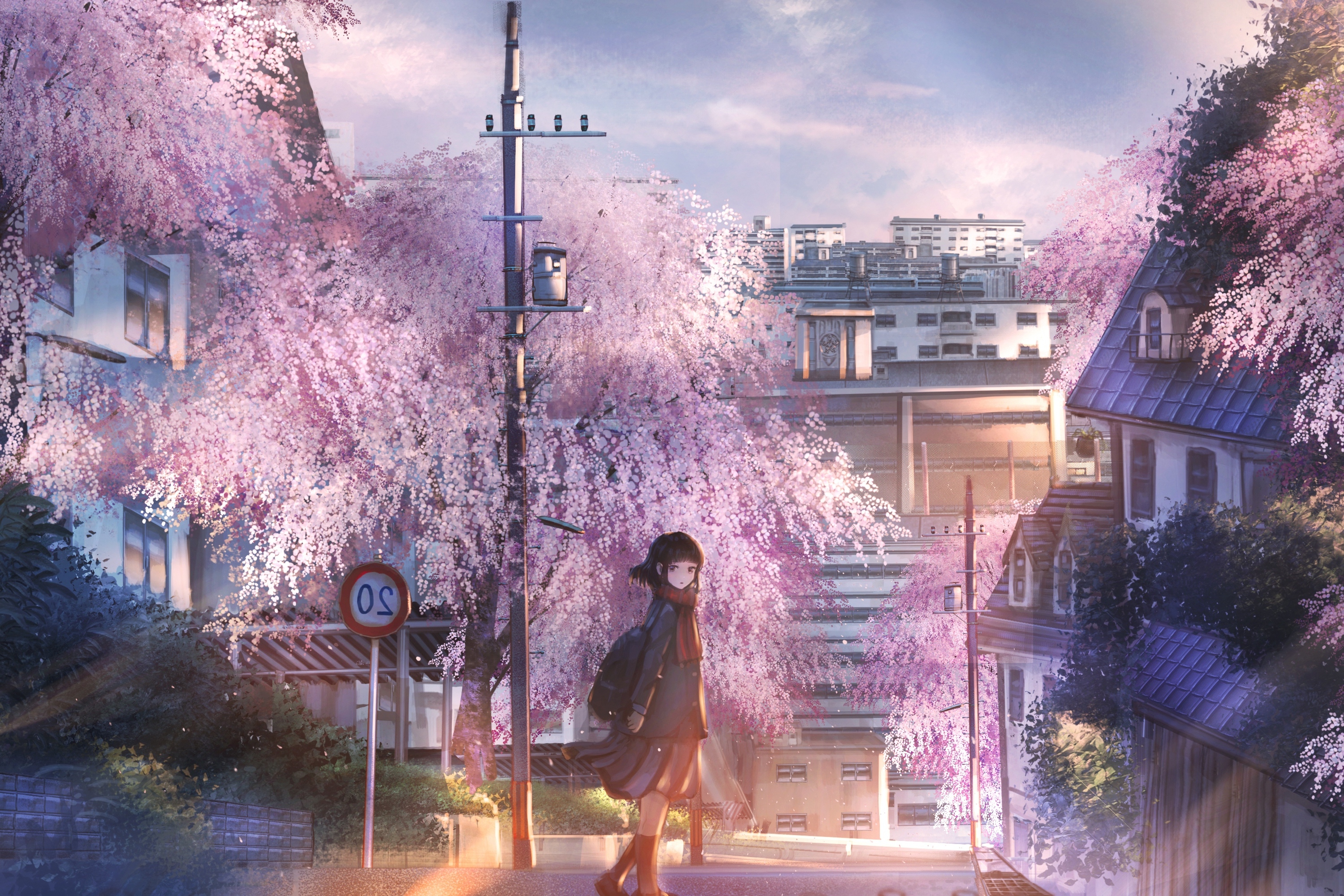 Anime Sakura Wallpapers