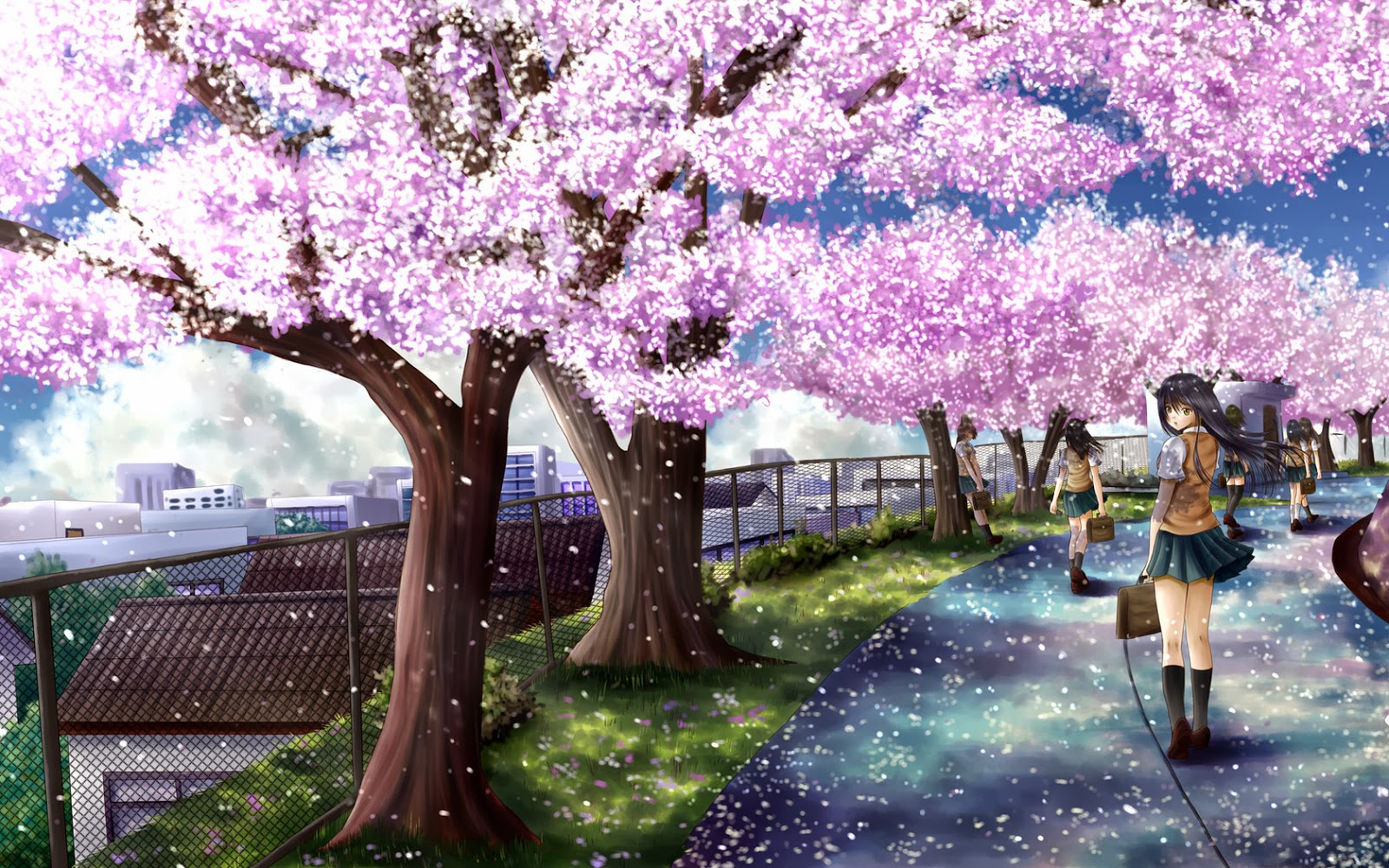 Anime Sakura Wallpapers