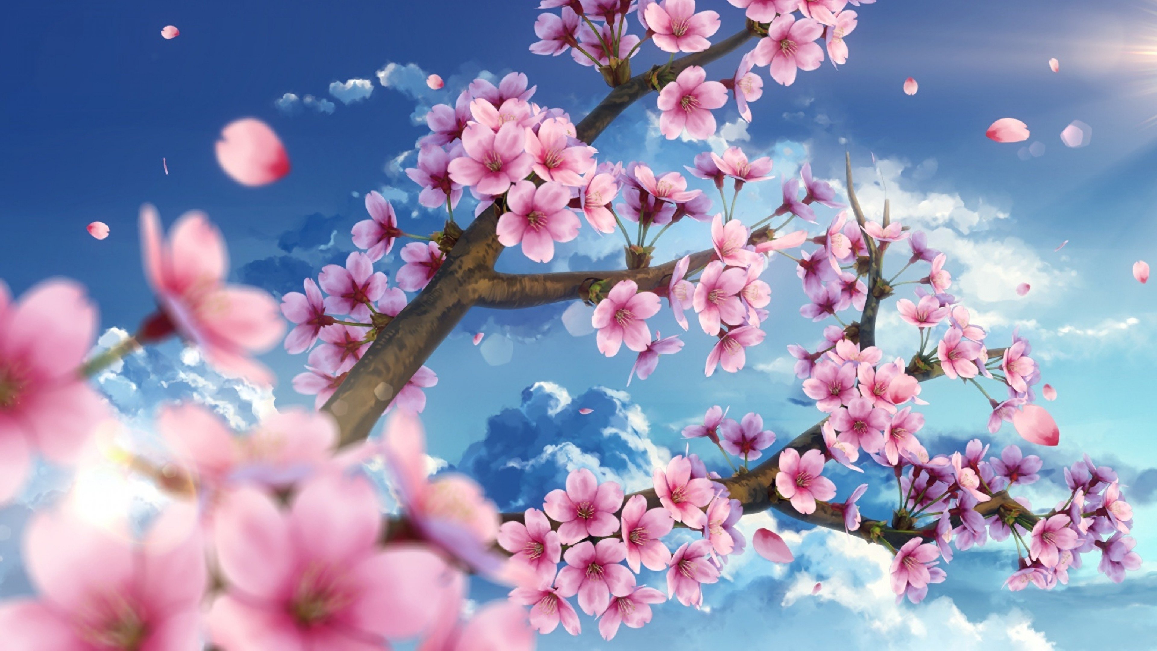 Anime Sakura Wallpapers