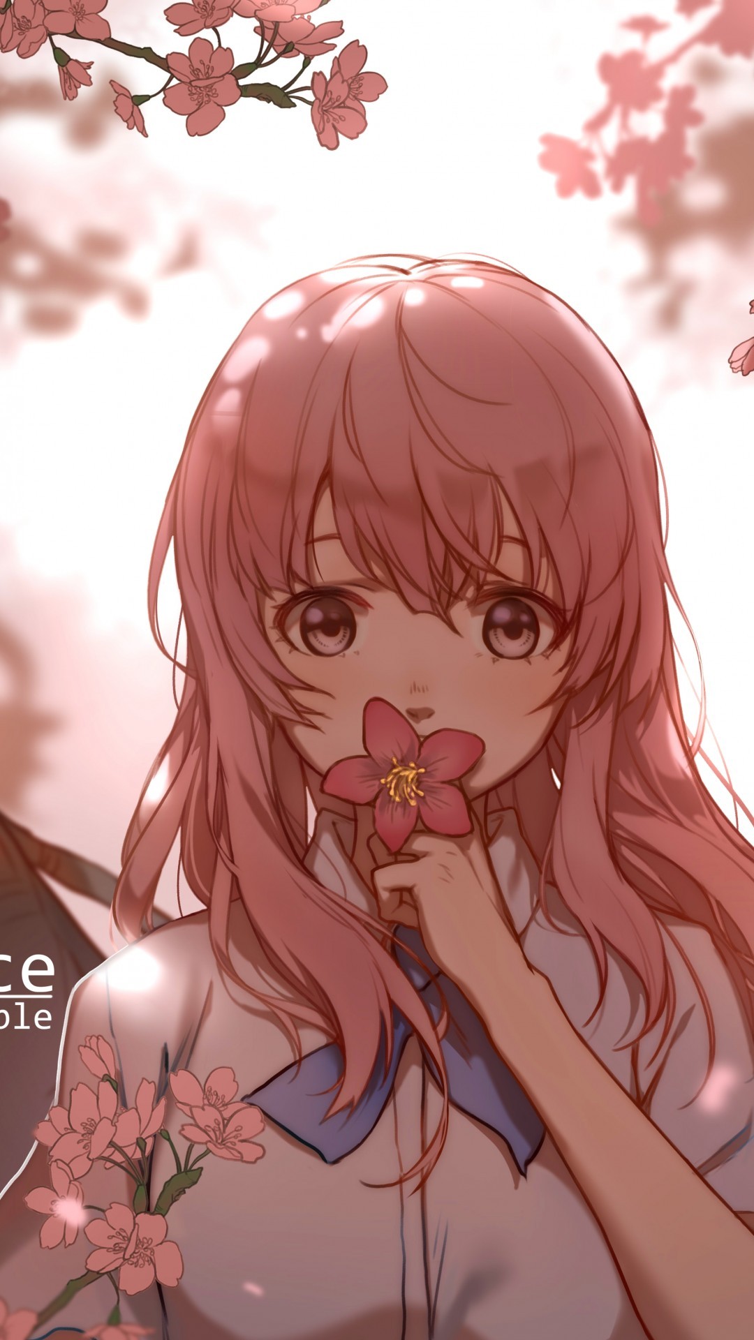 Anime Shouko Nishimiya Wallpapers