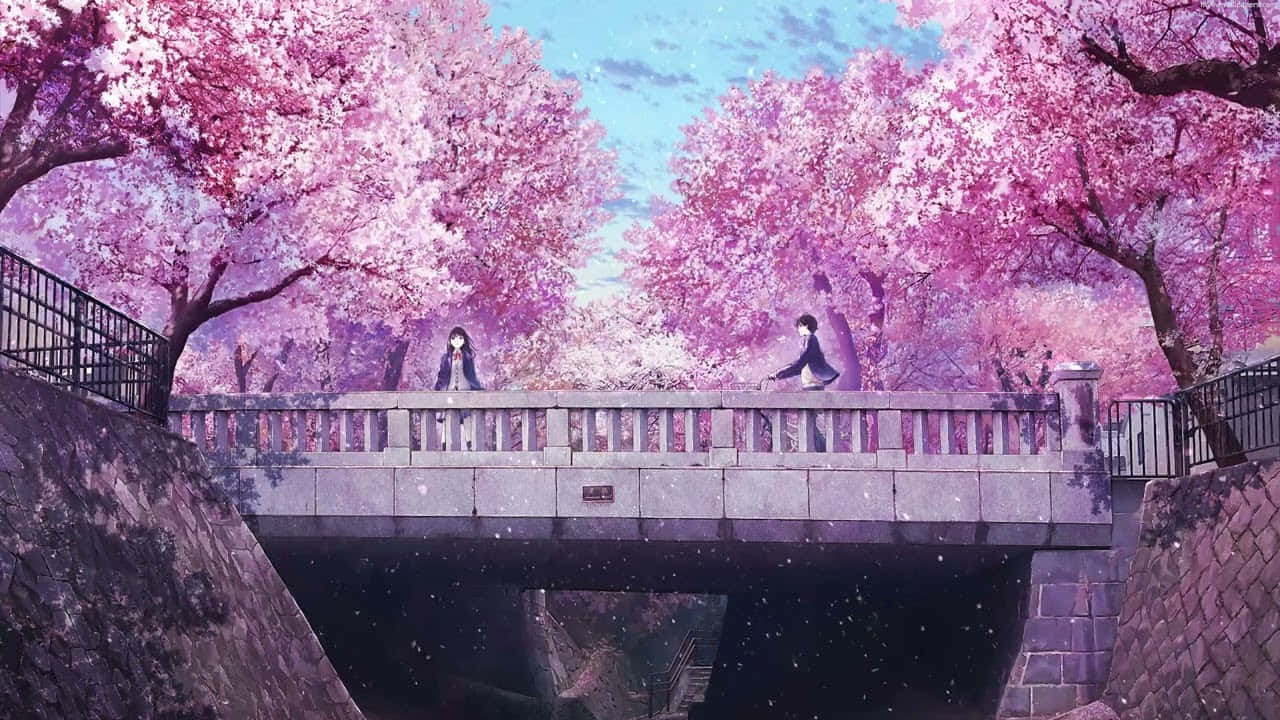 Anime Spring Scenery Wallpapers