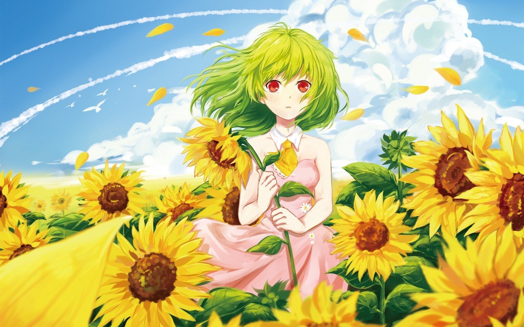 Anime Sunflower Wallpapers