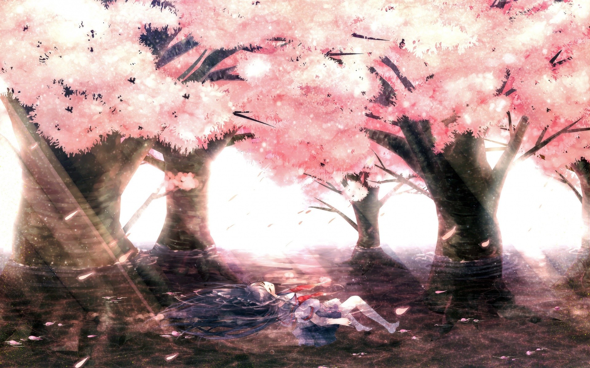 Anime Tree Wallpapers