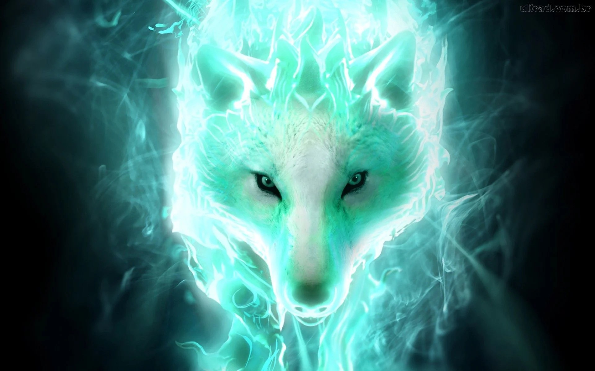 Anime White Wolf Wallpapers