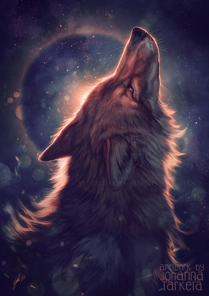 Anime Wolf Art Wallpapers