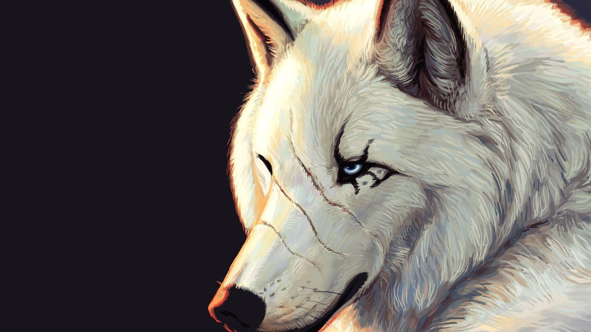 Anime Wolf Art Wallpapers