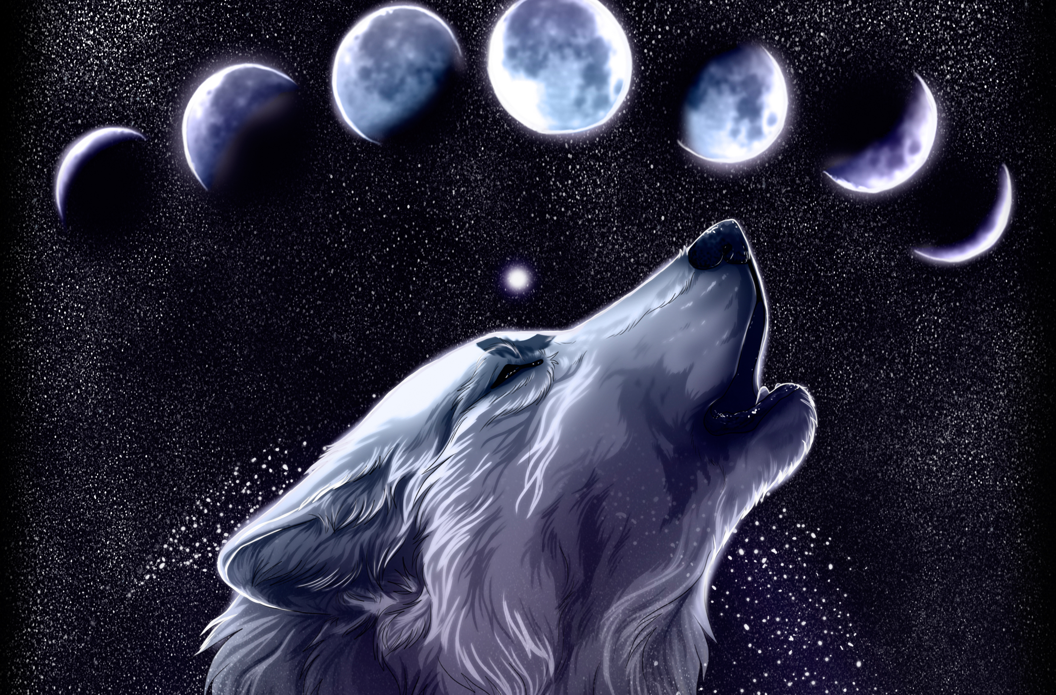 Anime Wolf Art Wallpapers