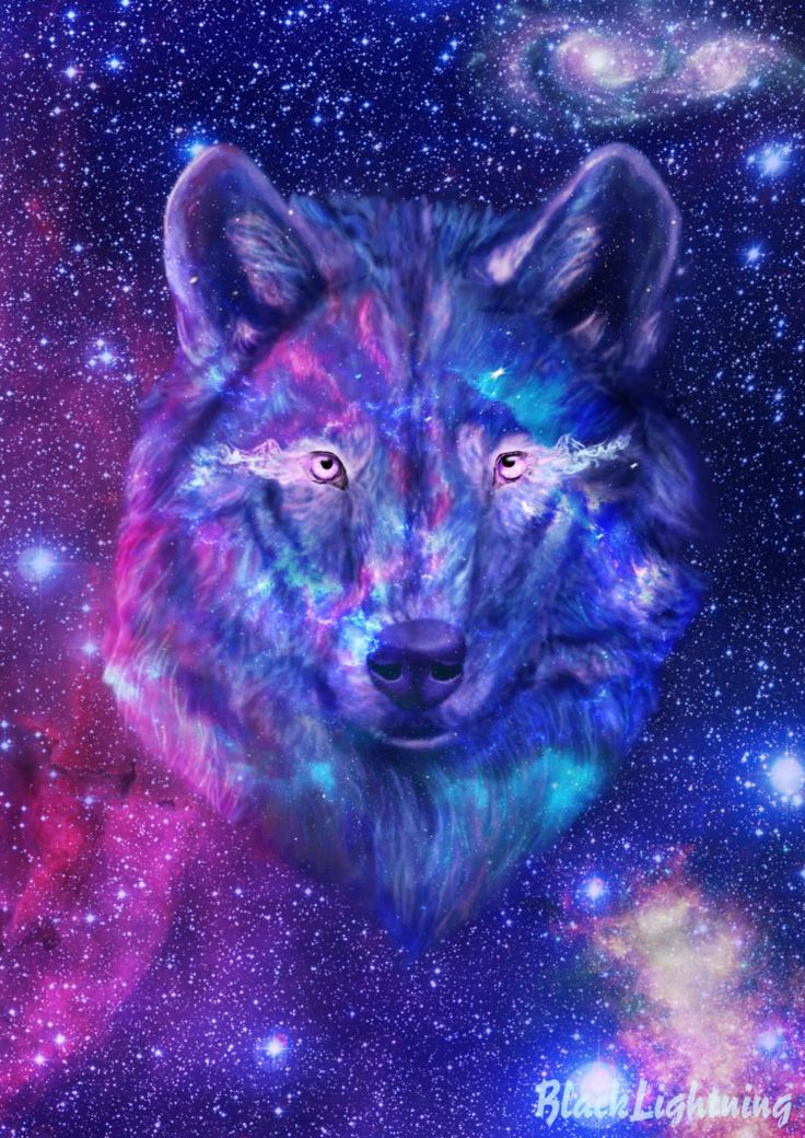 Anime Wolf Girl Galaxy Wallpapers