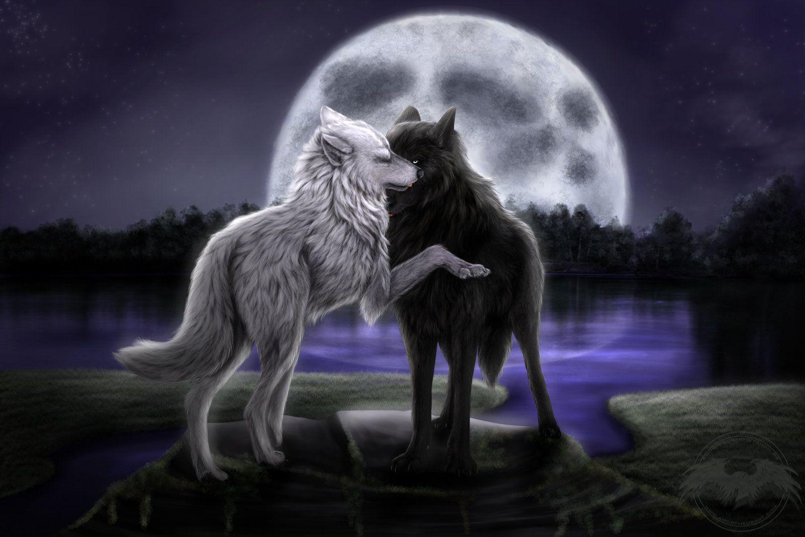 Anime Wolf Wallpapers