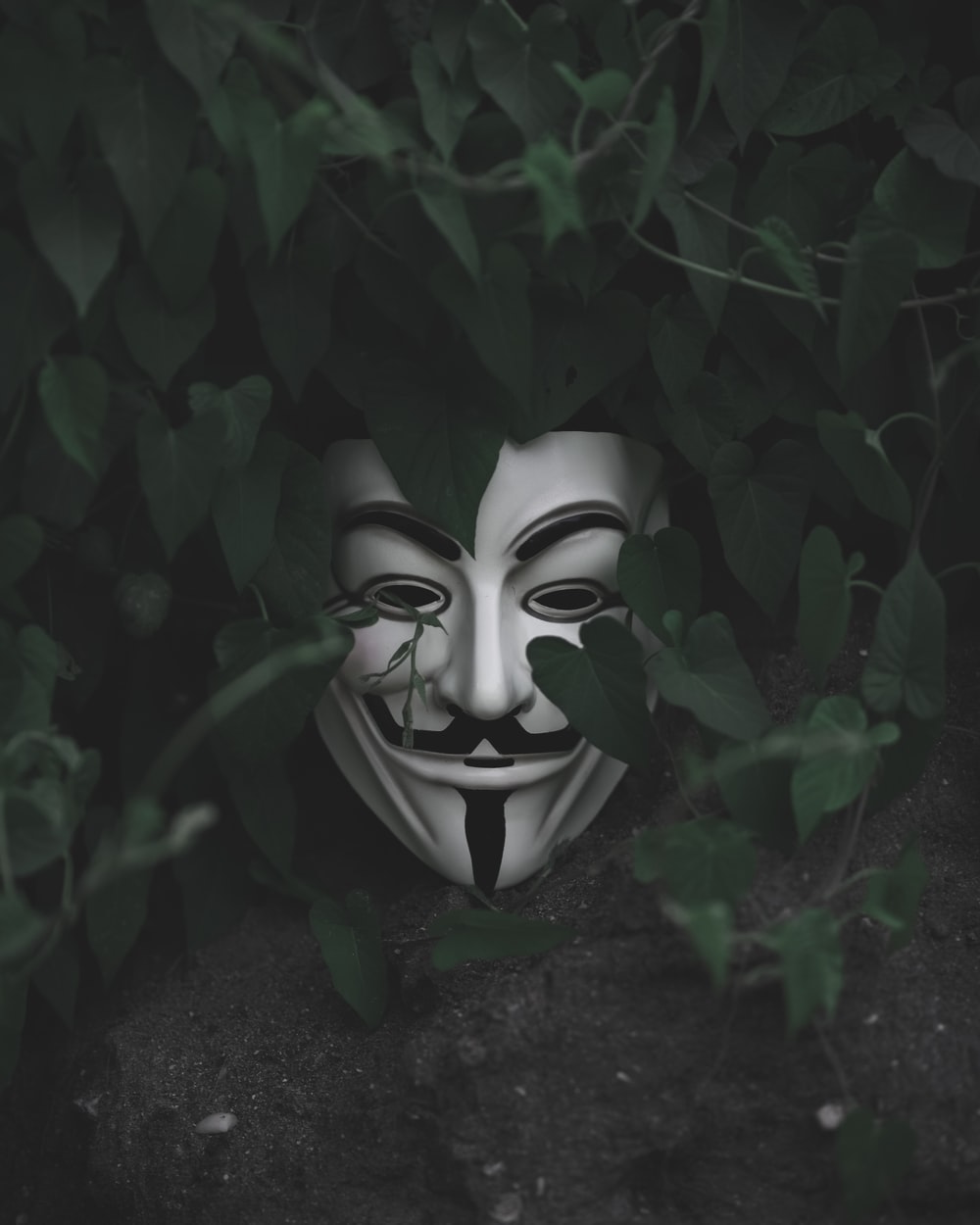 Anonymous Mask Man Wallpapers