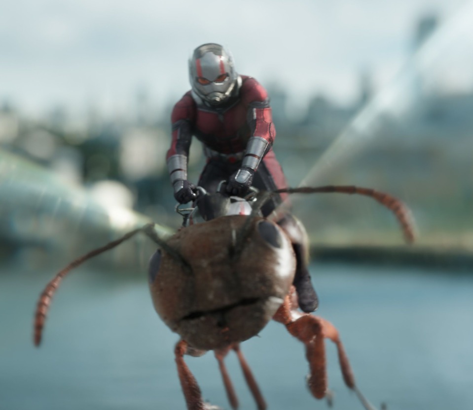 Ant-Man And The Wasp Splash Art Wallpapers