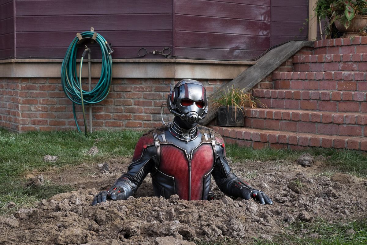 Ant-Man As Gaint-Man Artwork Wallpapers