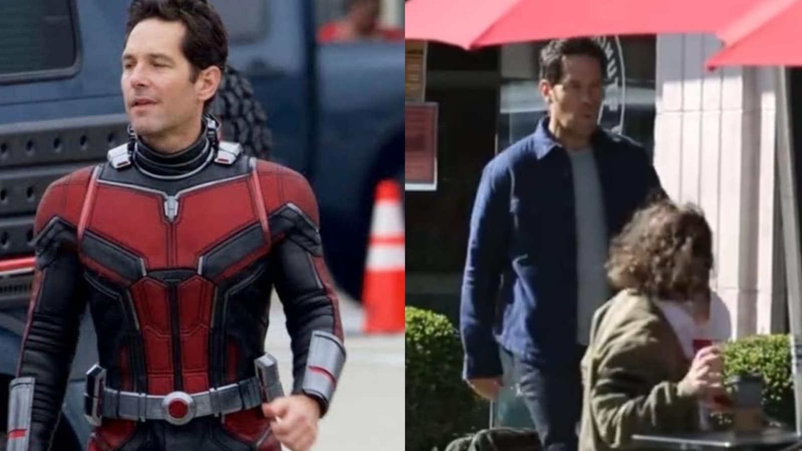 Ant-Man Riding Ant In Ant-Man And The Wasp Wallpapers