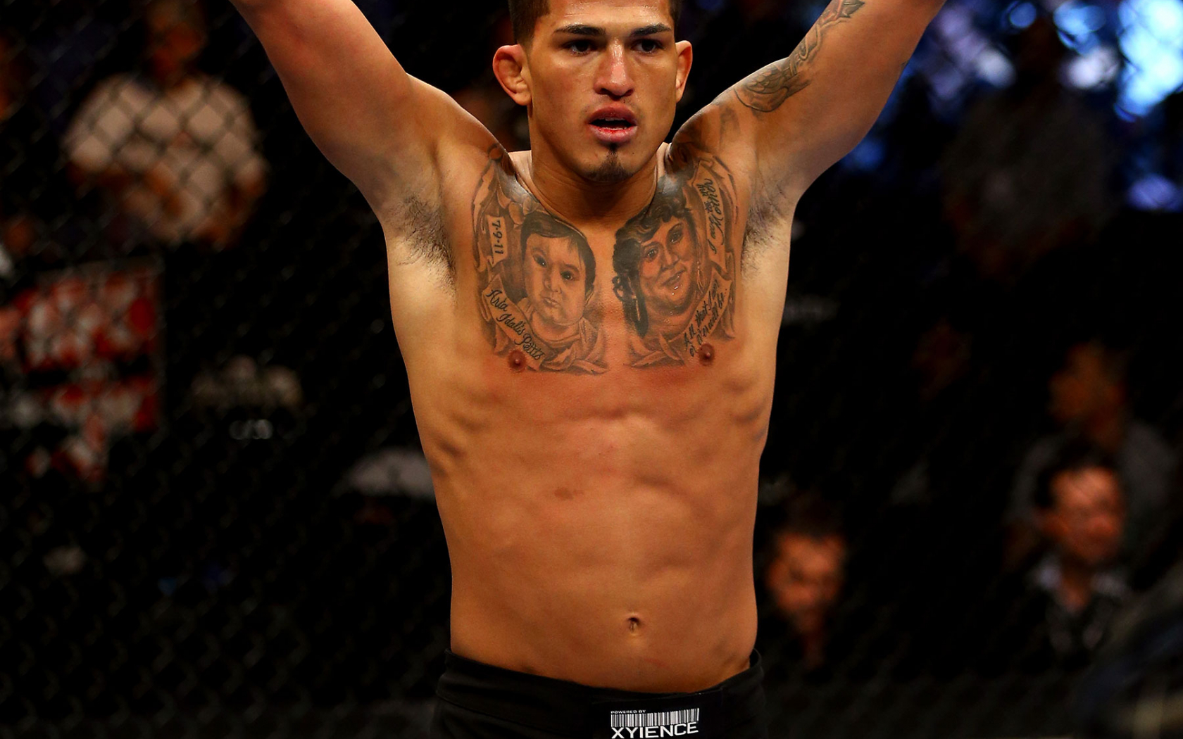 Anthony Pettis Wallpapers