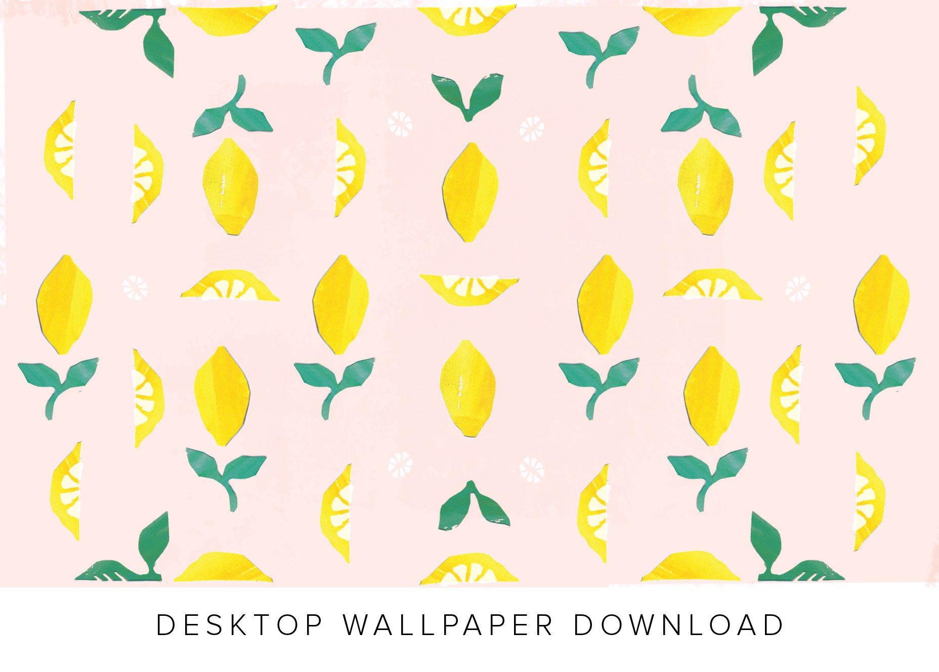 Anthropology Wallpapers