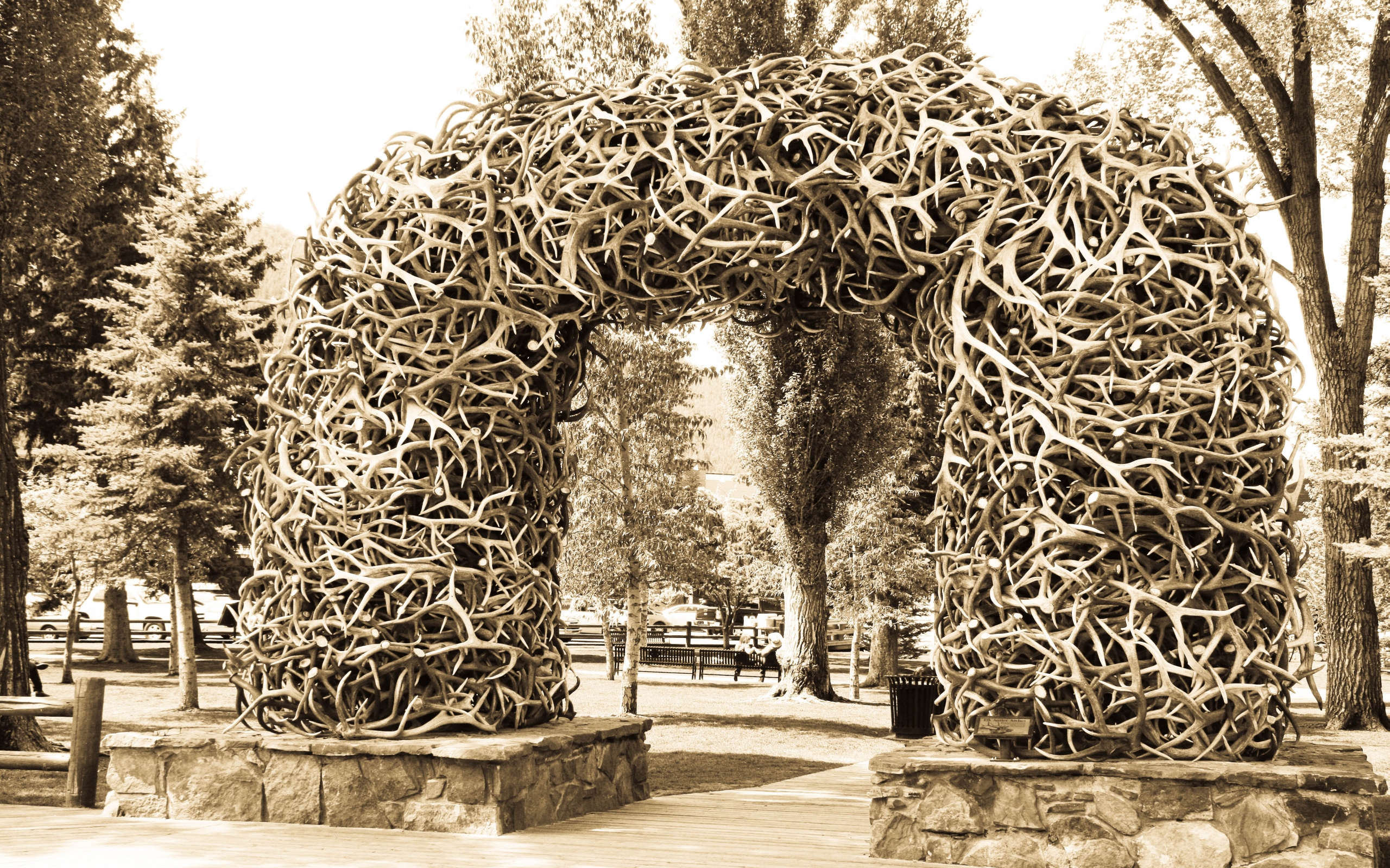 Antler Arch Wallpapers