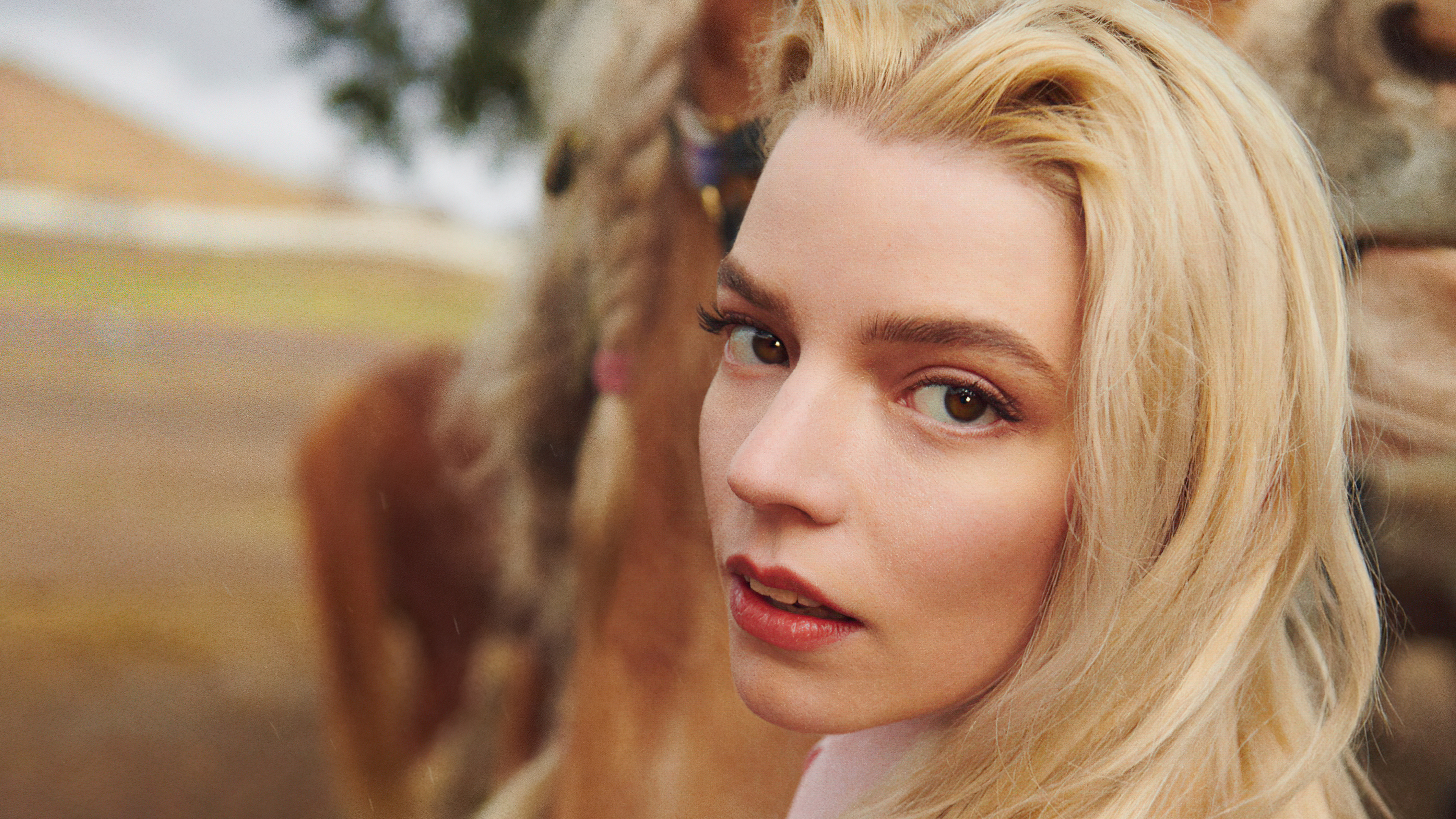 Anya Taylor Joy Wallpapers