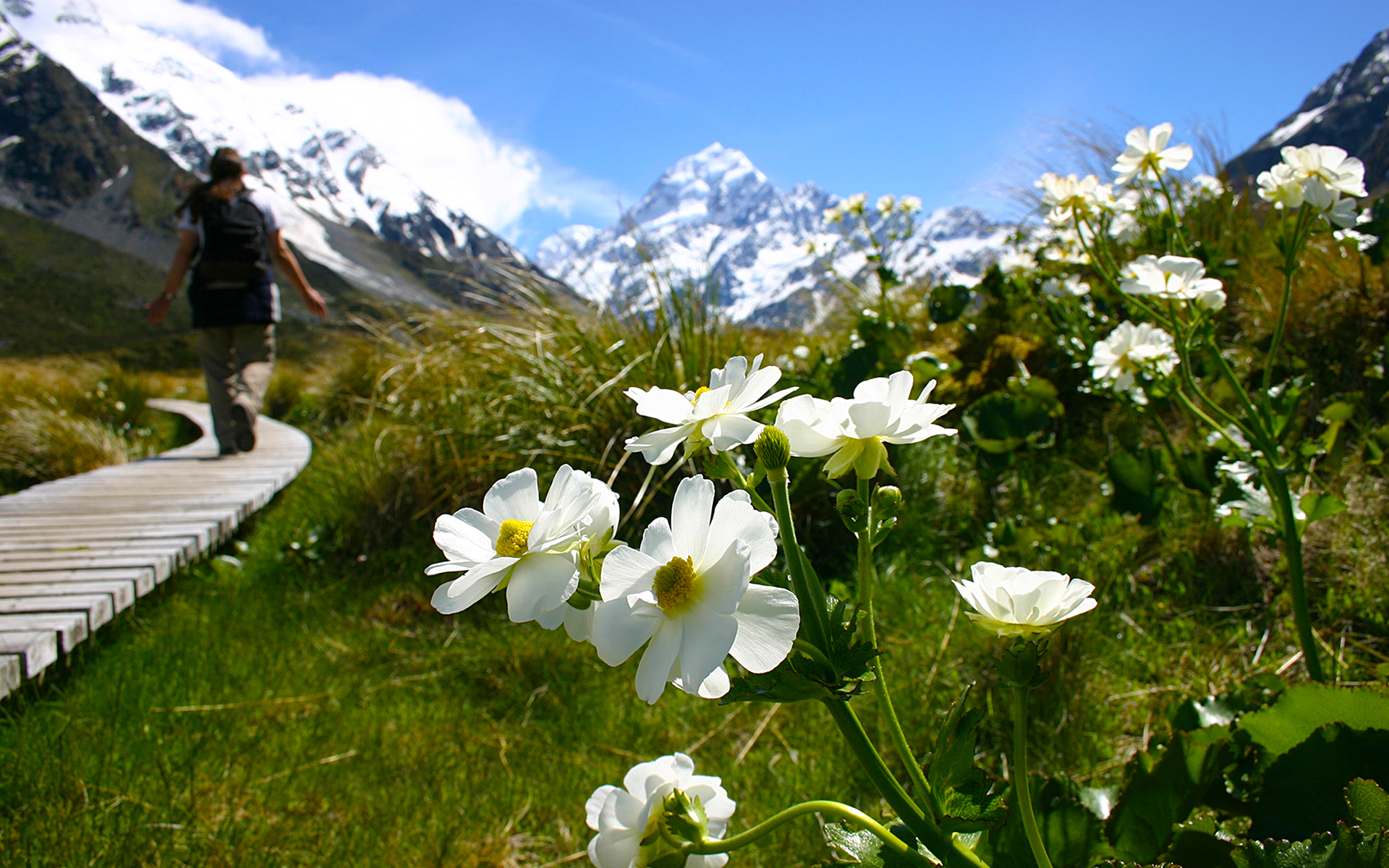 Aoraki/Mount Cook Wallpapers