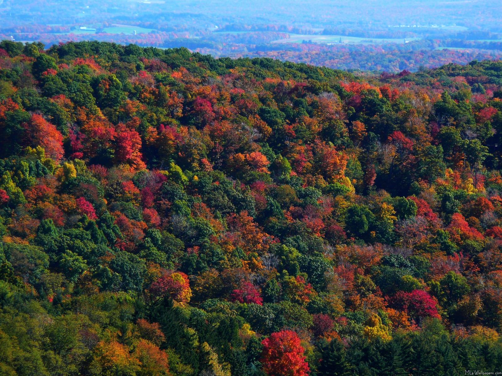 Appalachian Mountains Wallpapers