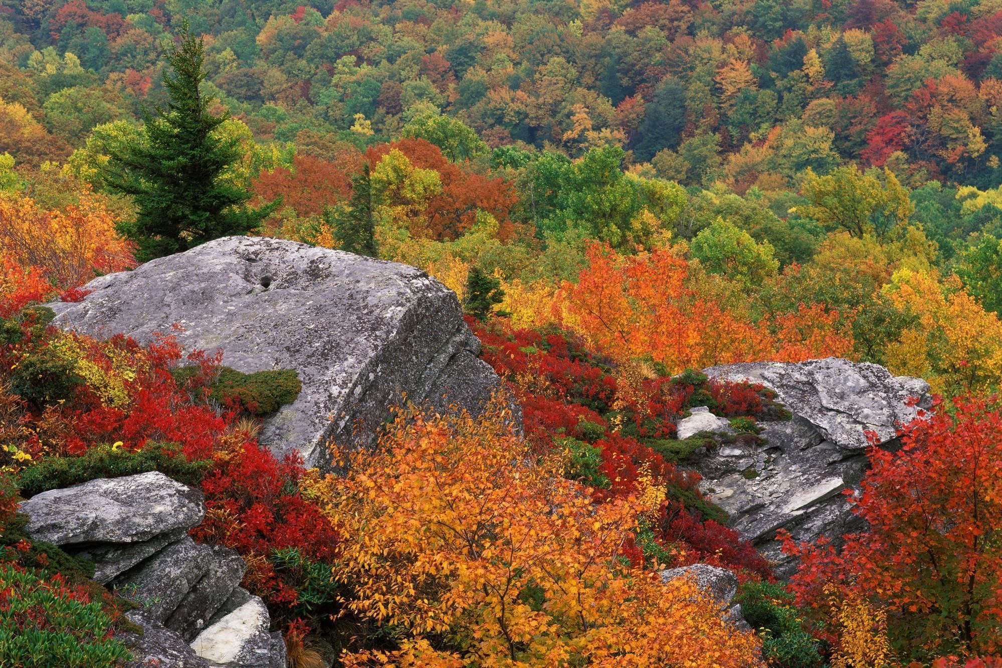 Appalachian Mountains Wallpapers