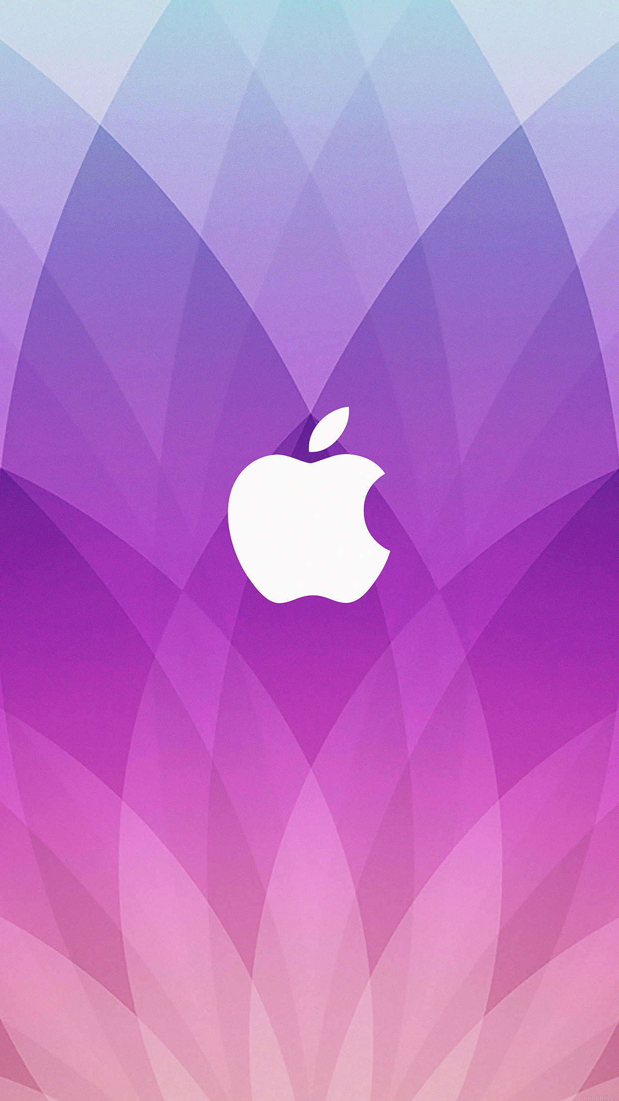 Apple Company Colorful Logo Wallpapers