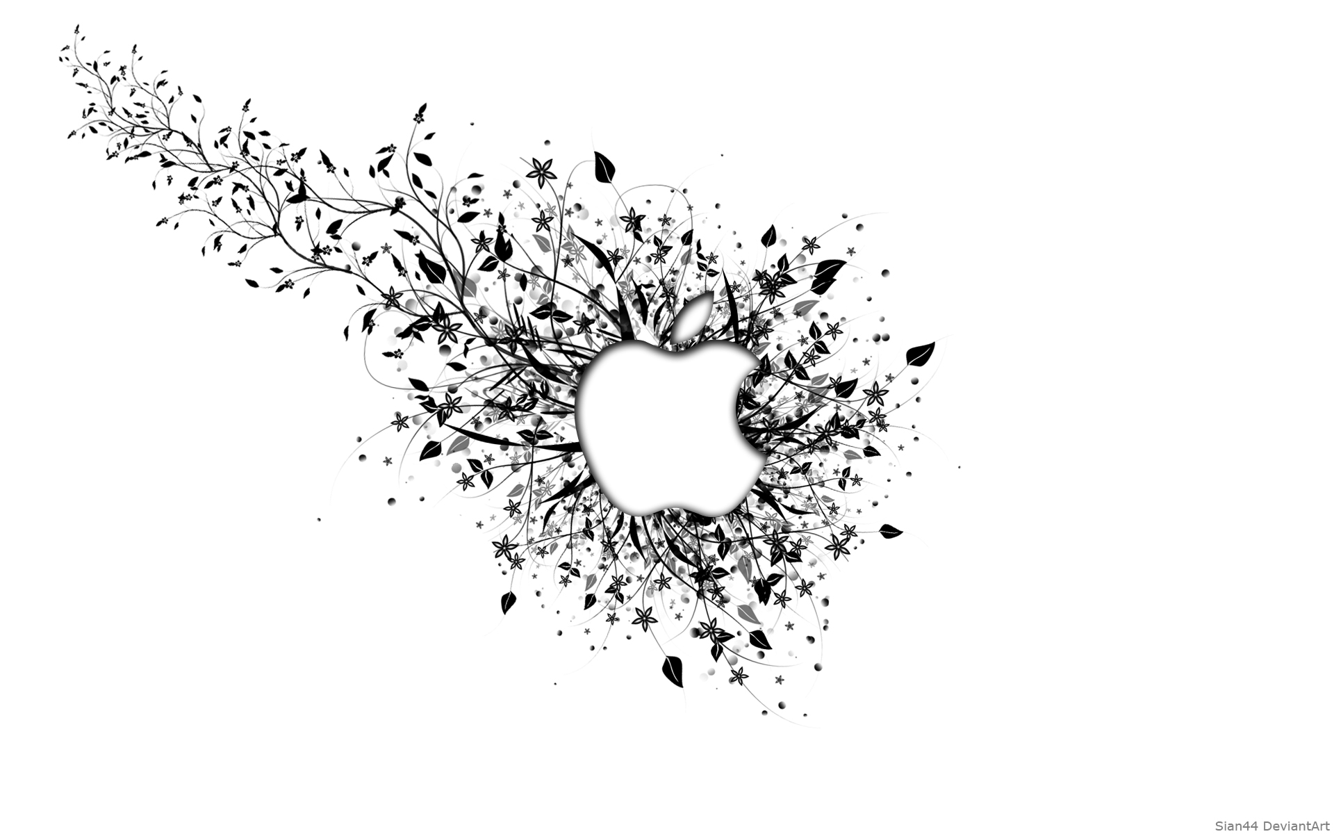 Apple White Wallpapers