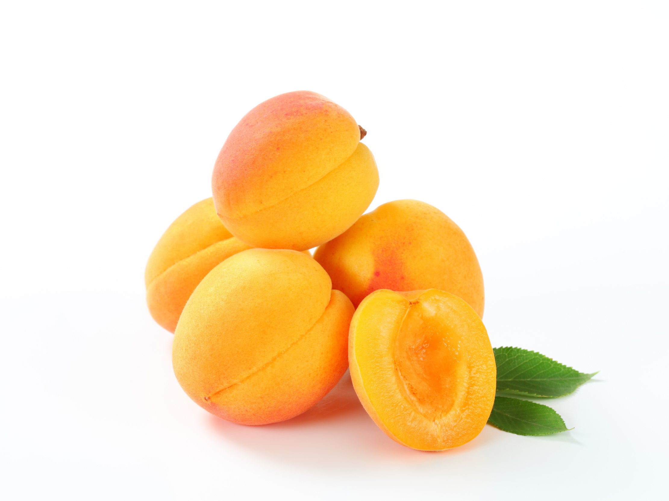 Apricot Wallpapers