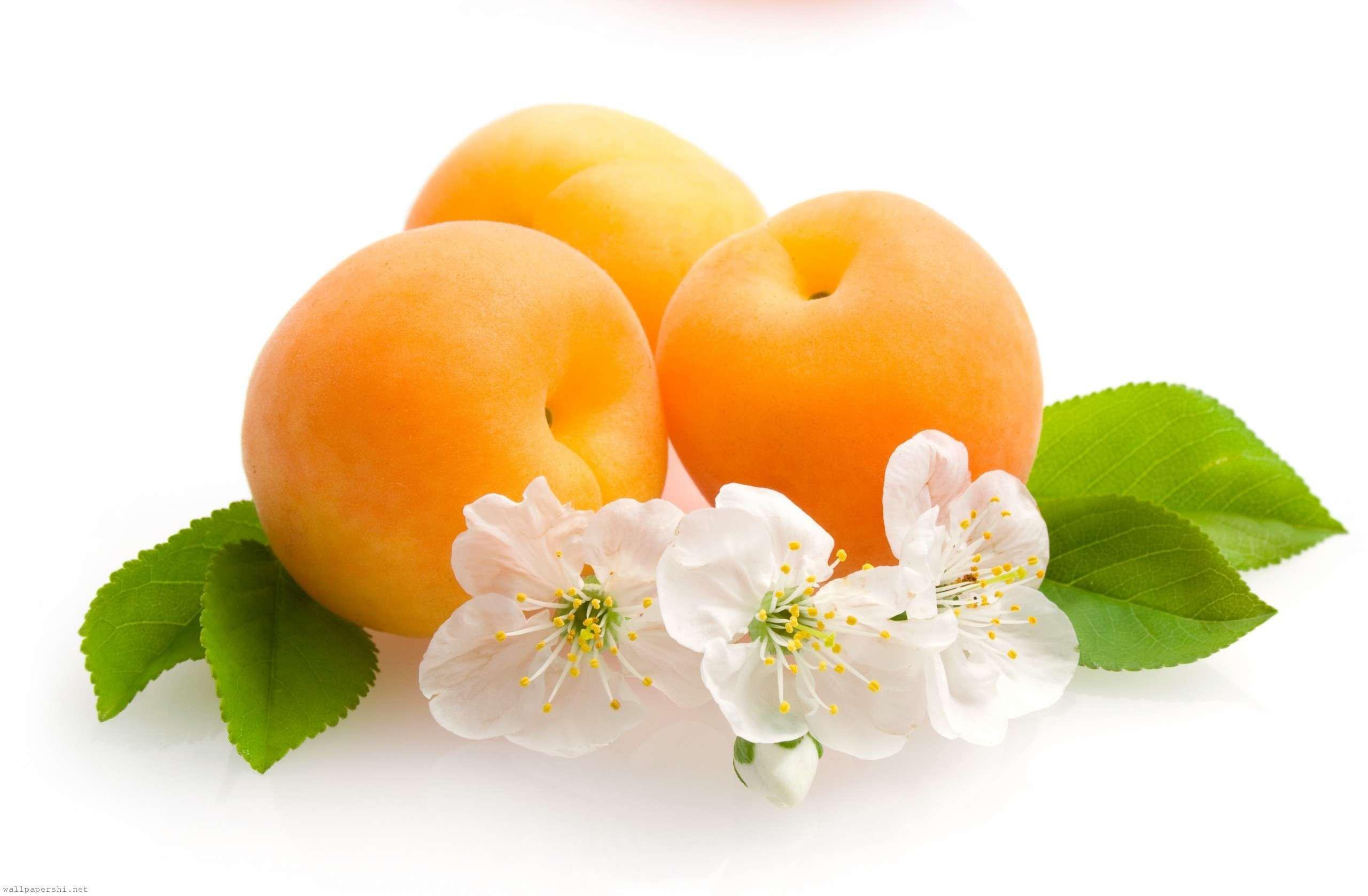 Apricot Wallpapers