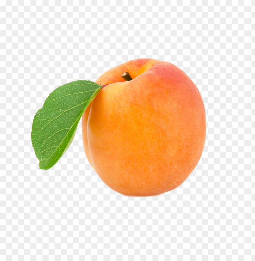 Apricot Wallpapers