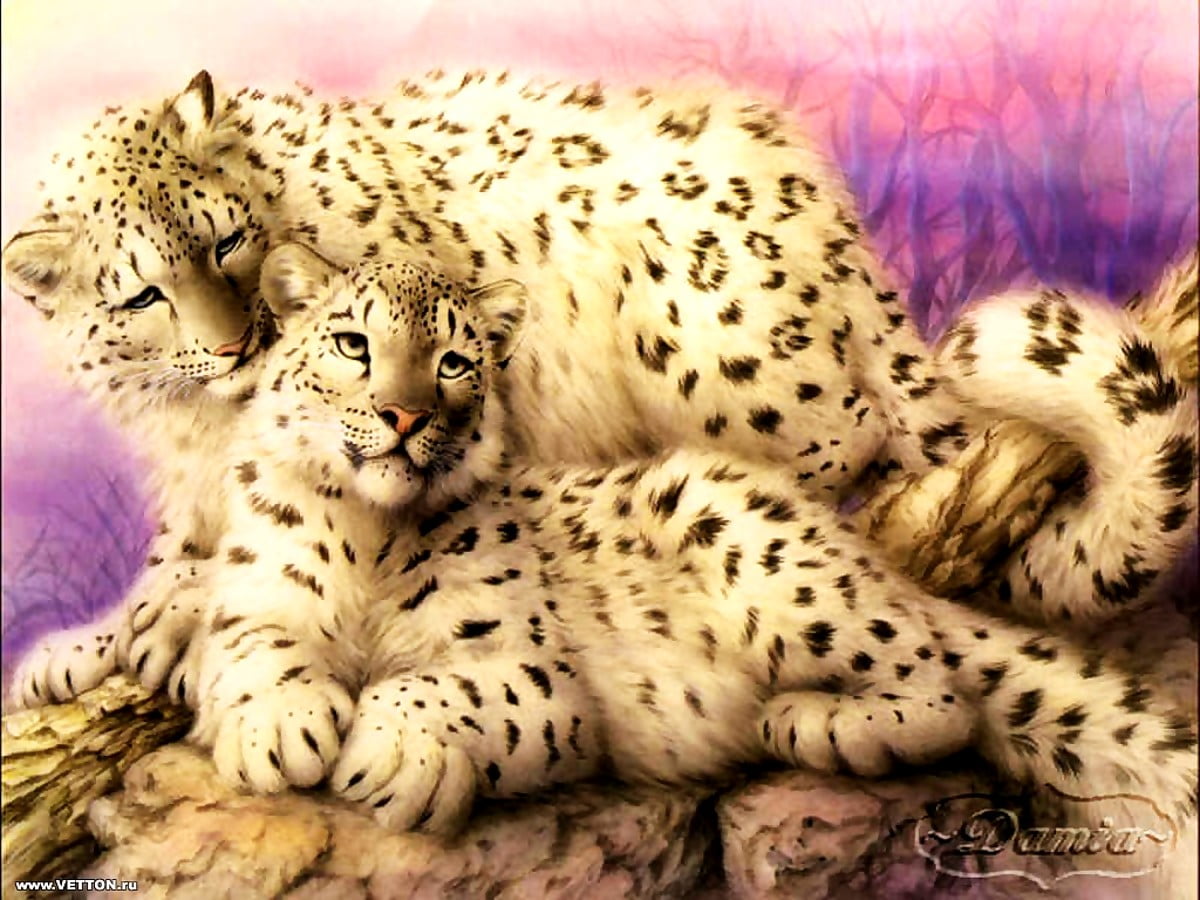 Aqua Snow Leopard Wallpapers