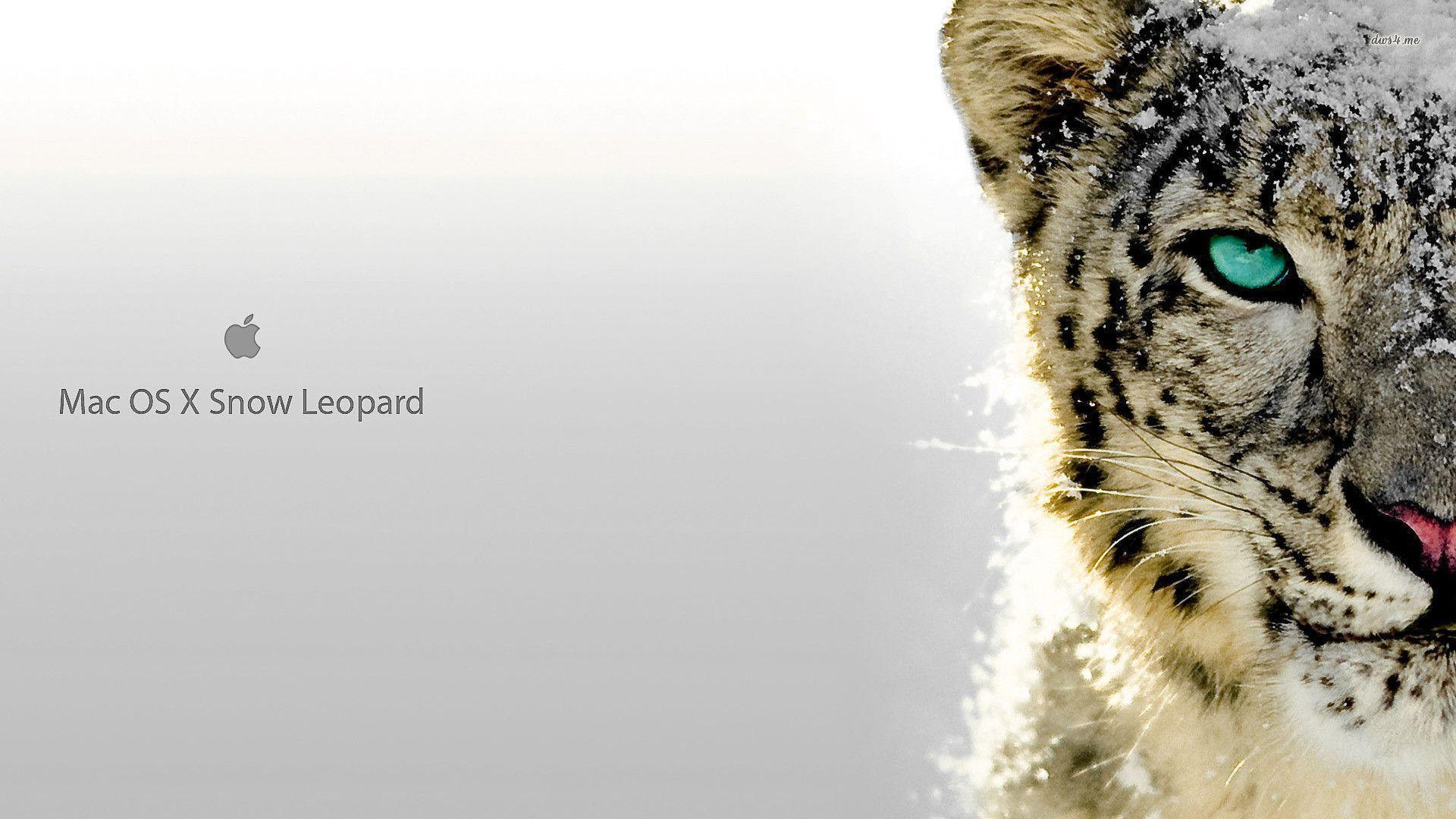 Aqua Snow Leopard Wallpapers