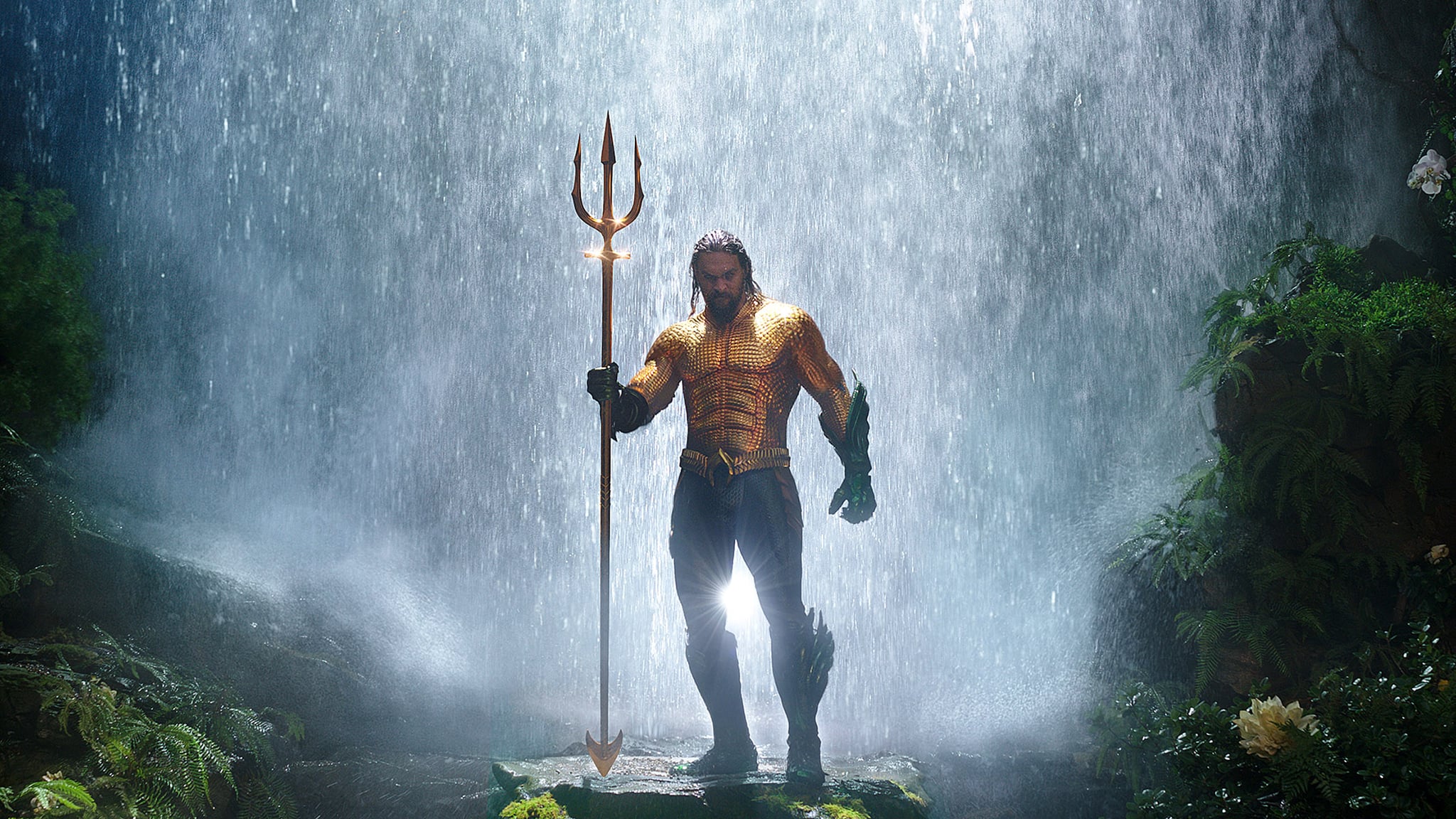 Aquaman Jason Momoa Artwork Wallpapers