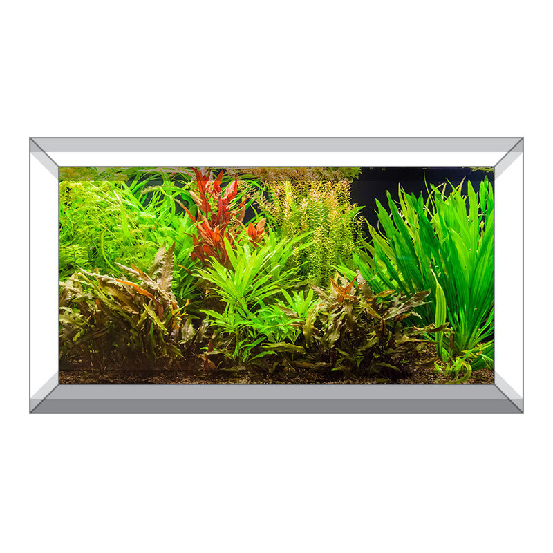 Aquarium Backgrounds