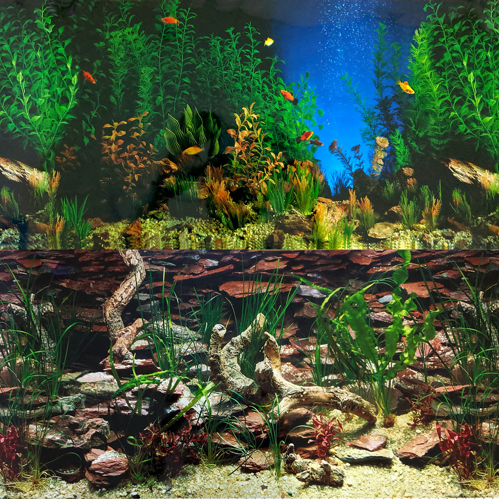 Aquarium Backgrounds