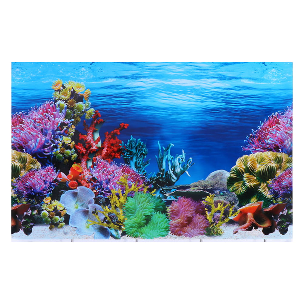 Aquarium Backgrounds