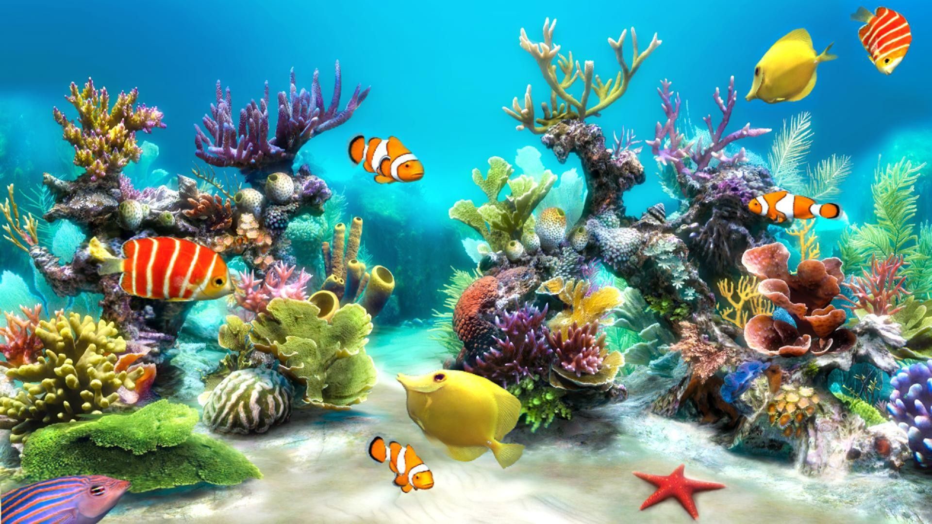 Aquarium Backgrounds