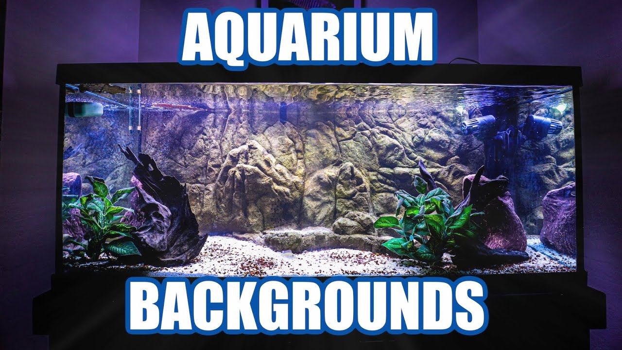 Aquarium Backgrounds