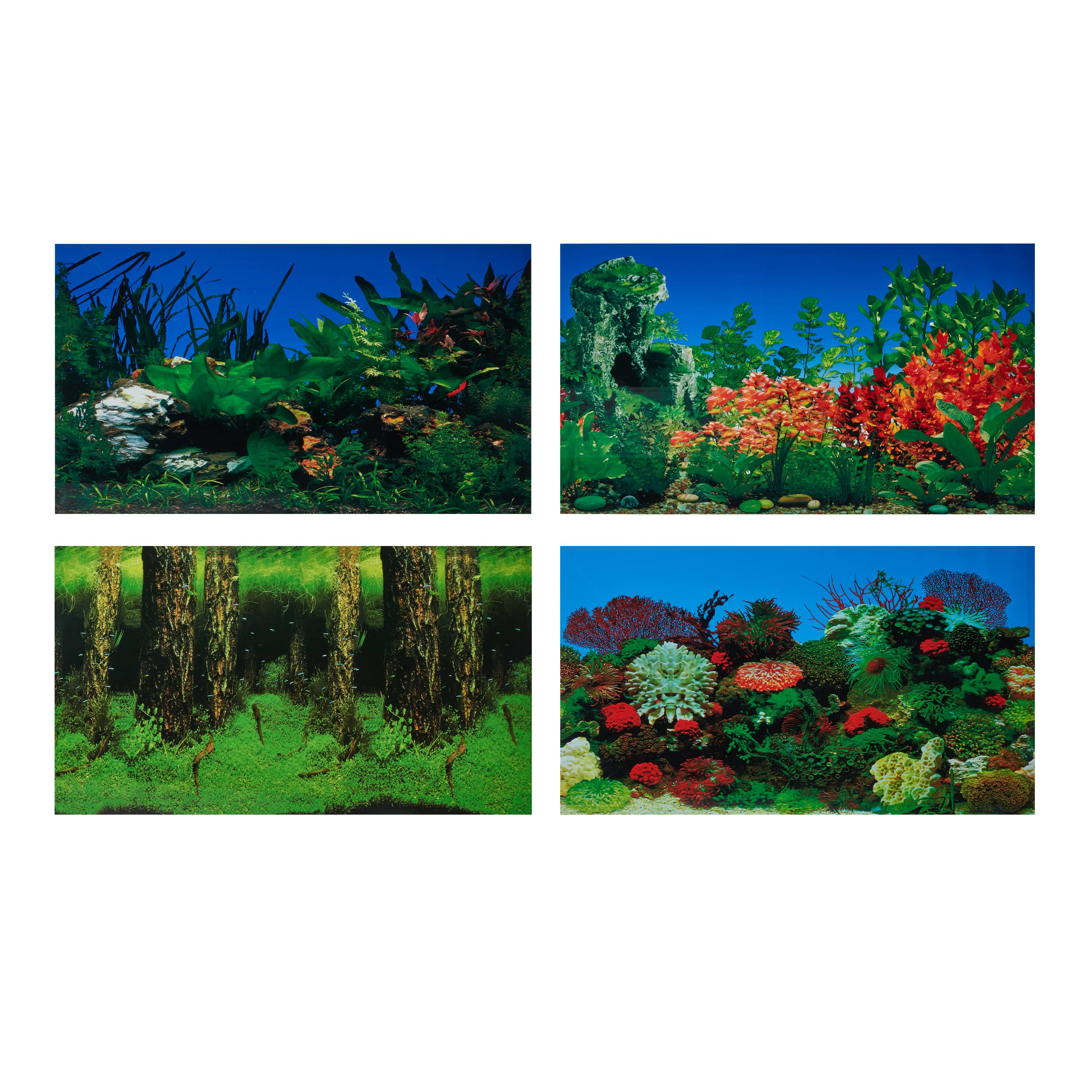 Aquarium Backgrounds