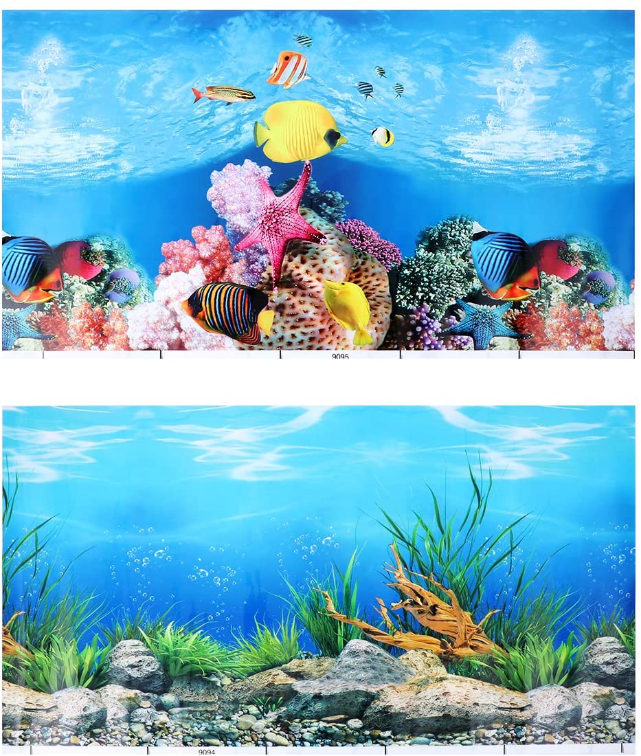 Aquarium Backgrounds