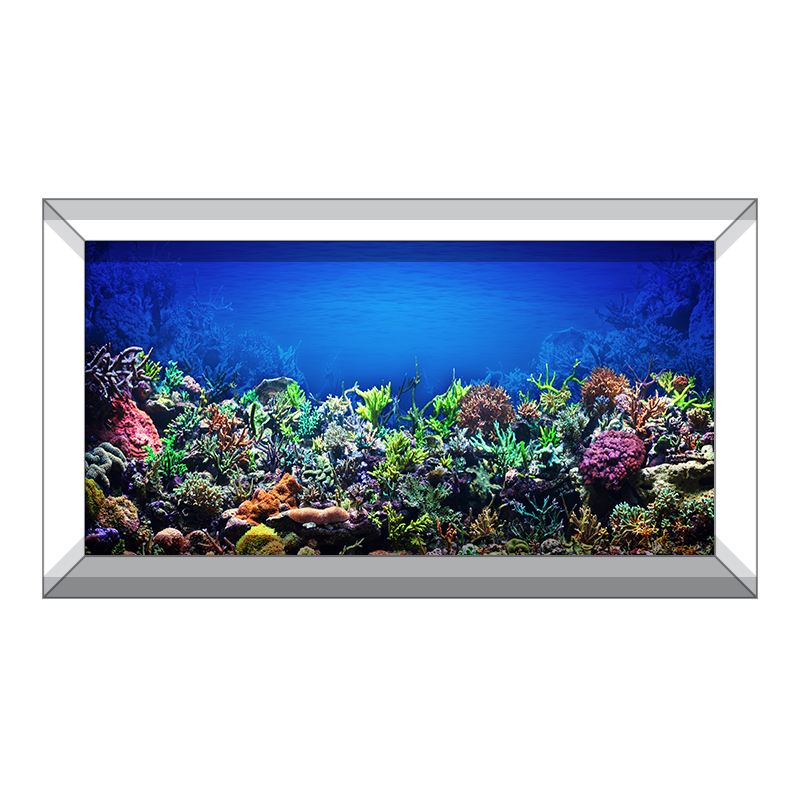 Aquarium Backgrounds