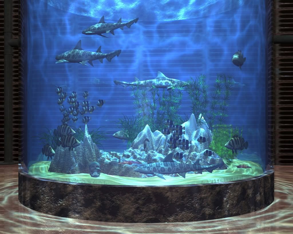 Aquarium Backgrounds For Computer