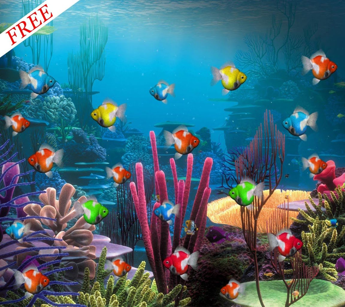 Aquarium Backgrounds For Computer