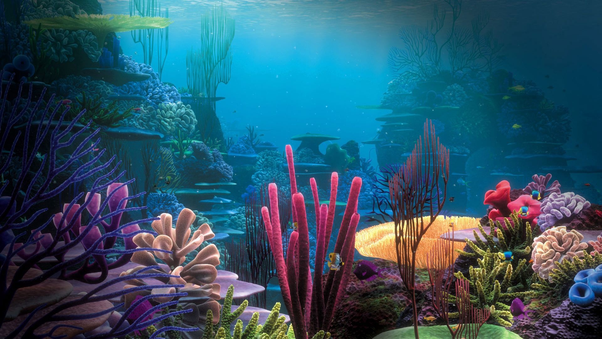 Aquarium Backgrounds For Computer