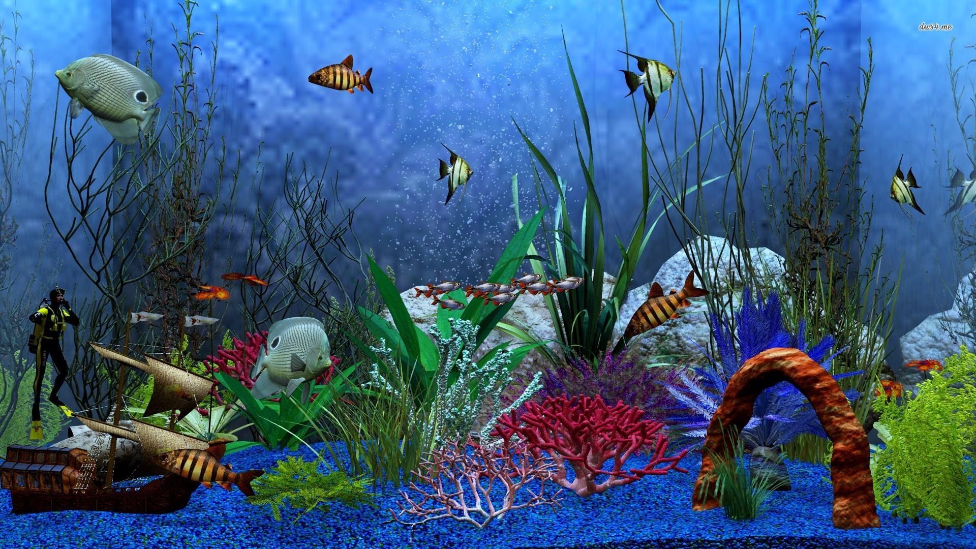 Aquarium Backgrounds For Computer