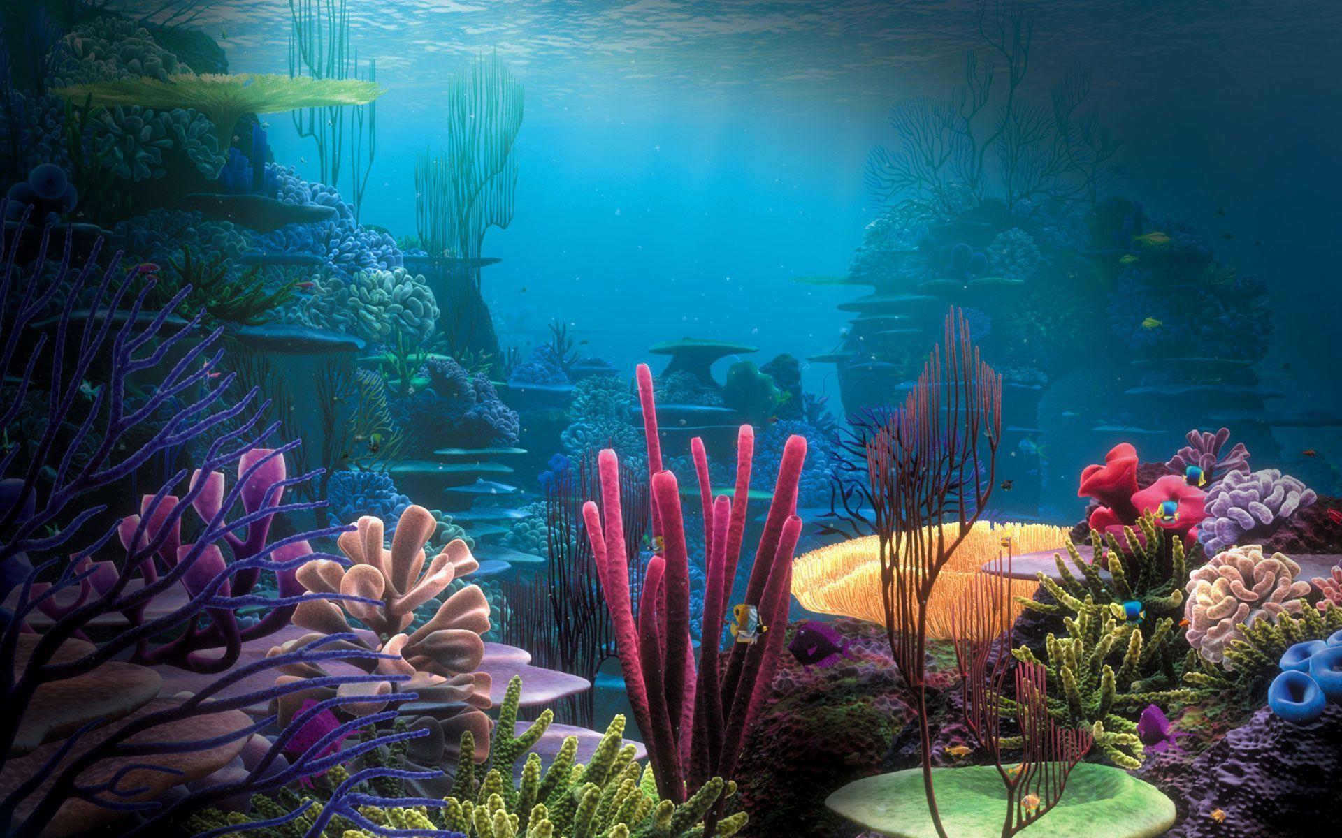 Aquarium Desktop Background