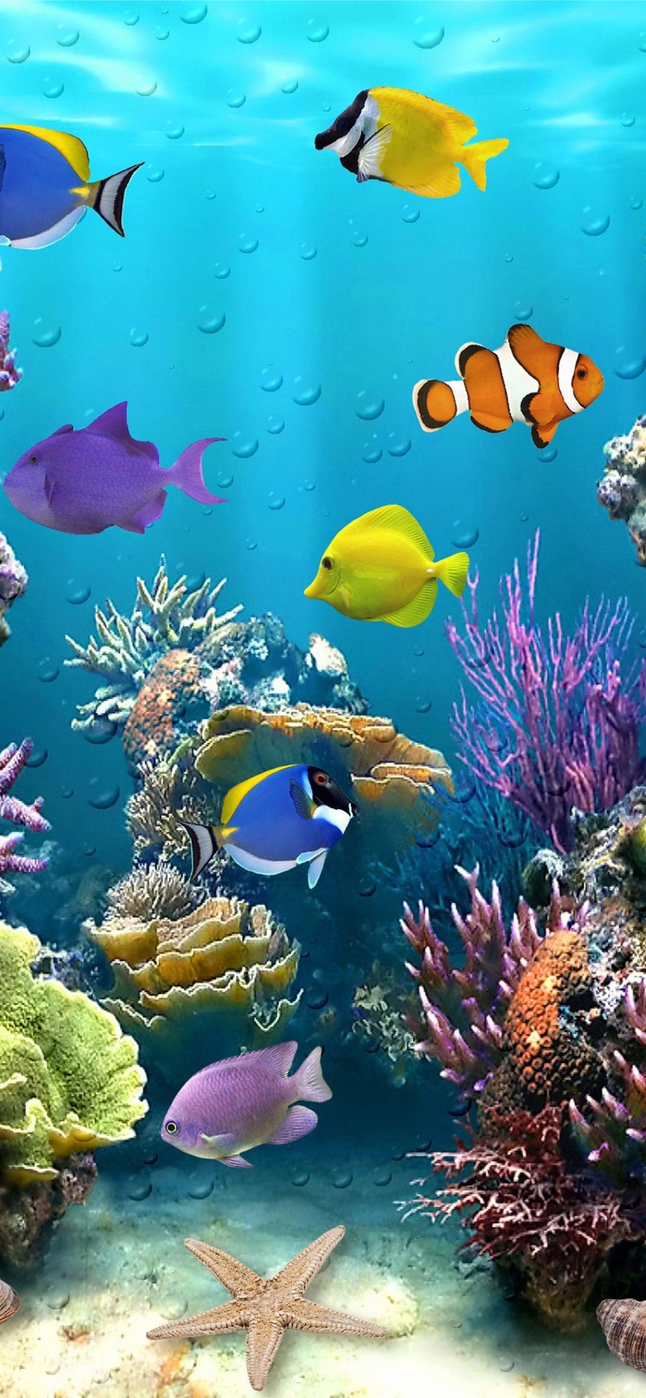 Aquarium Iphone Wallpapers