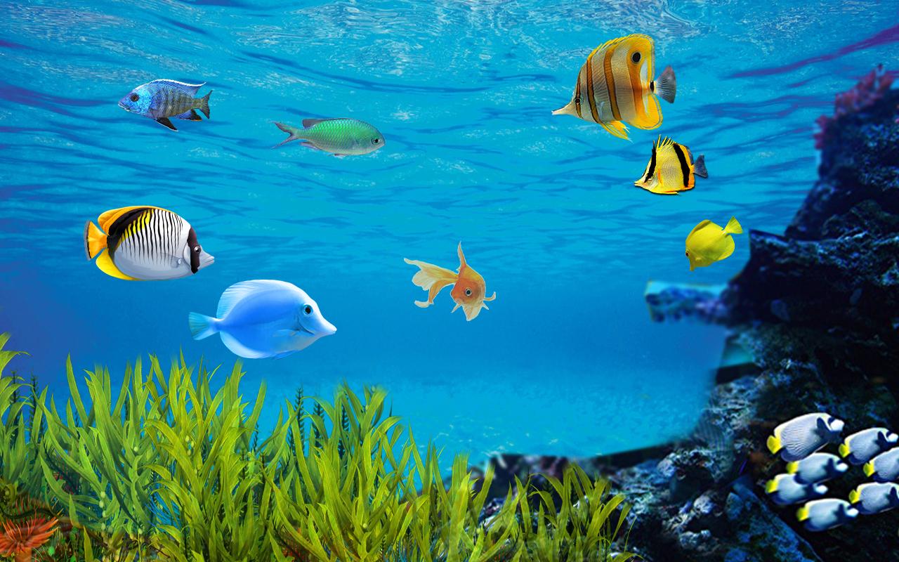 Aquarium Wallpapers