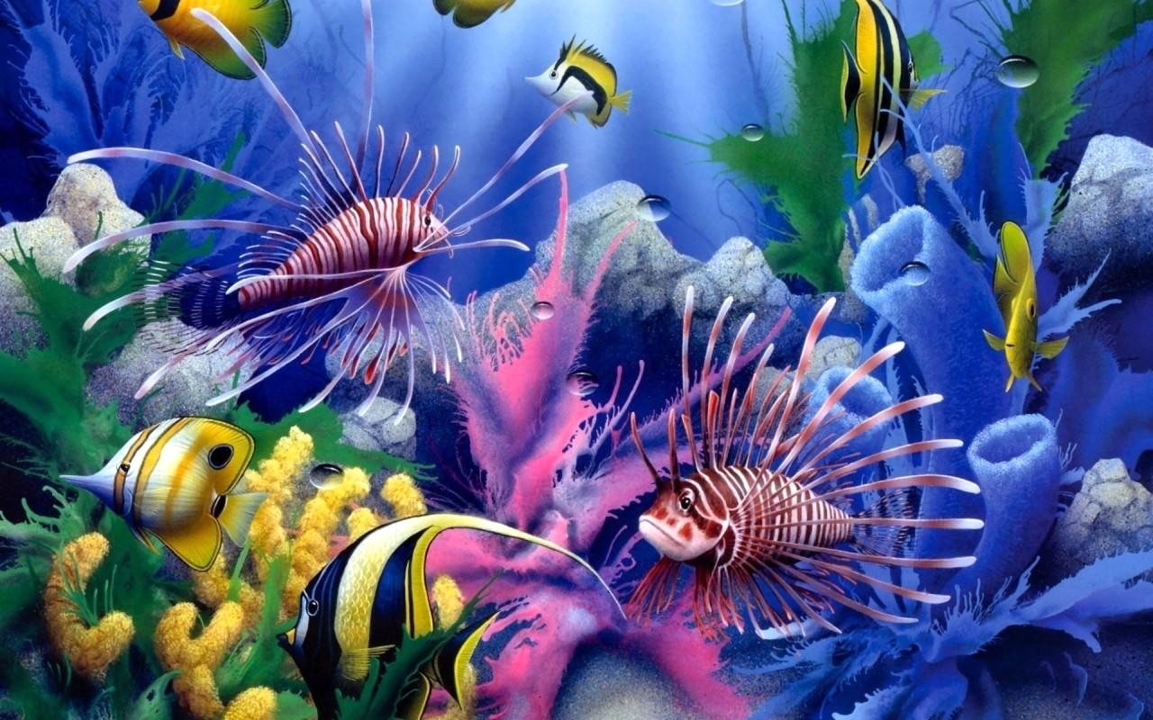 Aquarium Wallpapers