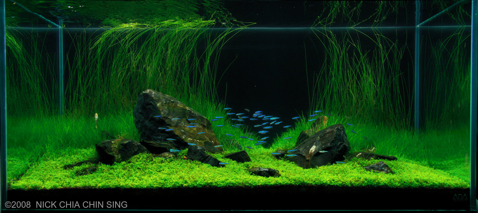 Aquascape Wallpapers